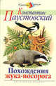 Похождения Жука Носорога, Паустовский 