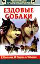 Ездовые собаки, ПОЦЕЛУЕВА 