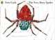 The Very Busy Spider, Carle Eric 