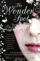 NA:Bank M:THE WONDER SPOT, Melissa Bank 