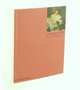 Caravaggio: Colour Library, Wilson-Smith Timothy 