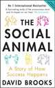 The Social Animal. A Story of How Success Happens, David J. Brooks 