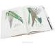 Carl Friedrich Philipp von Martius: The Book of Palms / Das Buch der Palmen / Le livre des palmiers, 