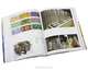 Asian Graphics Now! / Графика Азии сегодня, Editor Julius Wiedemann 