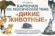 Карточки по лексической теме Дикие животные. Упражнения по развитию навыков словообразования, словоизменения и связной речи у детей с ОНР. 32 карточки, 16 опорных карточек, Арбекова Нелли Евгеньевна 