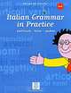 Italian Grammar in Practice: Exercises-Tests-Games, Susanna Nocchi 