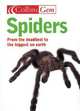 Spiders, Paul Hillyard 