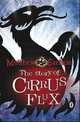 Story of Cirrus Flux, Matthew Skelton 