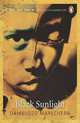 Black Sunlight, Dambudzo Marechera 