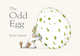 The Odd Egg, Emily Gravett 