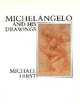 Michelangelo & His Drawings (Paper), Hugo Chapman 