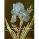 The Art of Natural History – Illustrated Treatises and Botanical Paintings 1400–1850, Therese O?malley 