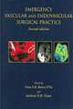 Emergency Vascular Surgical Practice. 2ed. 2005, Barros 