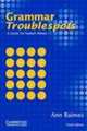 Grammar Troublespots (3rd Edition) Student's Book, Raimes, A 
