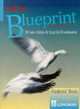 New Blueprint Intermediate, Longman Publishing Staff 