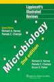 Lippincott’s Illustrated Review.: Microbiology 2Ed. 2007 / Иллюстрированные обзоры: микробиология, Champ 