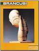 Constantin Brancusi, Eric Shanes 