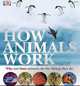 How Animals Work, Dorling Kindersley Publishing Staff 