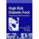 High Risk Diabetic Foot: Treatment and Prevention, Lawrence A. Lavery 