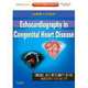 Echocardiography in Congenital Heart Disease: Expert Consult: Online and Print, Mark B. Lewin 