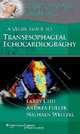 A Visual Guide to Transesophageal Echocardiography, Larry F. Chu 