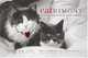 Catrimony: The Feline Guide to Ruling the Relationship, Kim Levin 