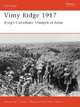 Vimy Ridge 1917: Byng's Canadians Triumph at Arras, Alexander Turner 