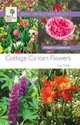 Cottage garden, Way Twigs 