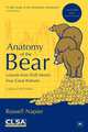 Anatomy of the Bear: Lessons from Wall Street's Four Great Bottoms, Russell Napier 