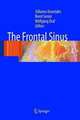 The Frontal Sinus.2005 / Лобная пазуха, Kountakis 
