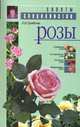 Розы, Бумбеева Любовь 