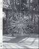 Josiah McElheny:A Space for an Island Universe, Josiah McElheny 