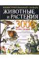 Животные и растения. Иллюстрированный энциклопедический словарь, 