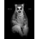 Elliot Ross. Animal, Elliott Erwitt 