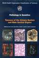 Pathology & Genetics of Tumours of the Urinary System & Male Genital Organs. 2004, Eble 