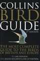 Collins Bird Guide, Lars Svensson 