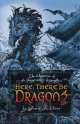 Chronicles of Imaginarium Geographica: Here, There Be Dragons, Owen, James A. 