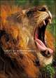 Safari in Wildest Africa, Michel Denis-Huot 
