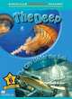 Macmillan Children's Readers: The Deep/City Under the Sea, Shipton Paul 