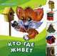 Кто где живёт, Солнышко Ирина 