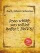 Иисус уснул, сокрылась надежда моя, BWV 81. Jesus schlГ¤ft, was soll ich hoffen?, BWV 81 by Johann Sebastian Bach, Бах Иоганн Себастьян 