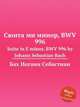 Сюита ми минор, BWV 996. Suite in E minor, BWV 996 by Johann Sebastian Bach, Бах Иоганн Себастьян 