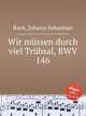 Многими скорбями надлежит нам войти в Царствие Божие, BWV 146. Wir mГјssen durch viel TrГјbsal, BWV 146 by Johann Sebastian Bach, Бах Иоганн Себастьян 