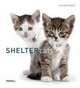 Shelter Cats, Kloth Michael 