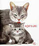 Cat's Life, Burton Jane 