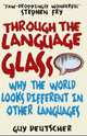 Through the Language Glass: Why the World Looks Different in Other Languages, Guy Deutscher 