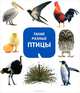Такие разные птицы, 