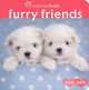 Furry Friends, Jane E. Gerver 