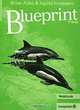 Blueprint Two. Workbook, Brian Abbs & Ingrid Freebairn 