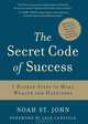 The Secret Code of Success: 7 Hidden Steps to More Wealth and Happiness, Noah St. John 